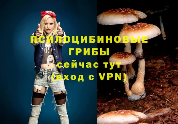 apvp Дмитровск