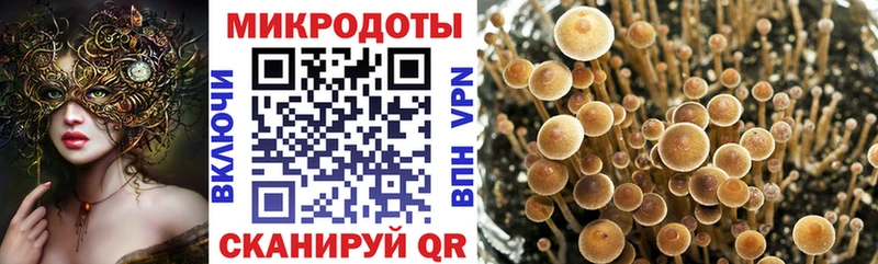 Псилоцибиновые грибы прущие грибы  Сухиничи 